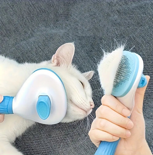 grooming brush فرشاة تنضيف